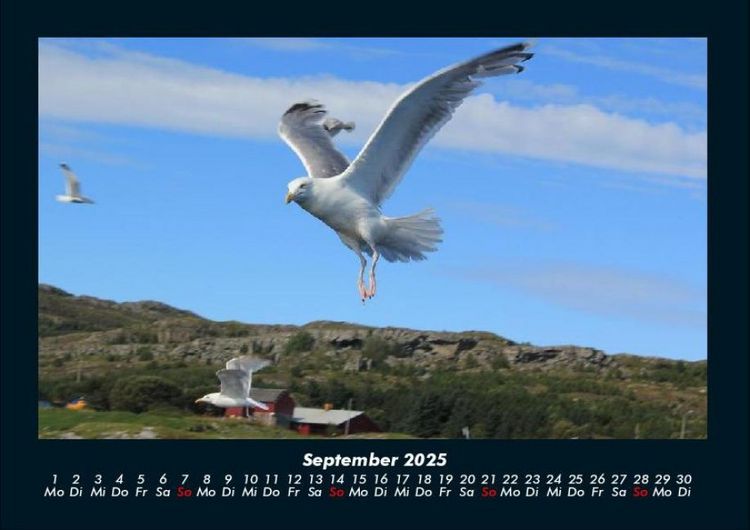 Produktbild: Nordsee 2025 Fotokalender DIN A4