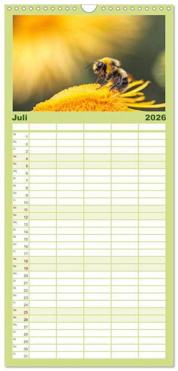 Produktbild: Familienplaner 2026 - Die Welt der flei&szlig;igen Bienen mit 5 Spalten (Wandkalender, 21 x 45 cm) CALVENDO