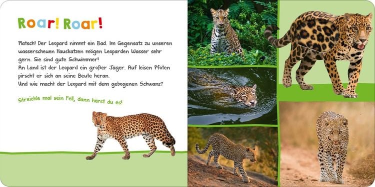 Produktbild: H&ouml;r mal rein, wer kann das sein? &ndash; Im Dschungel