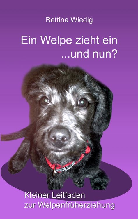 Produktbild: Ein Welpe zieht ein ... und nun?