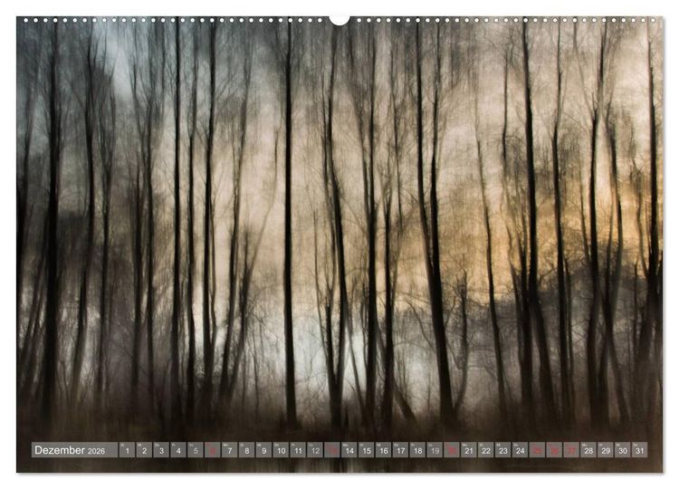 Produktbild: Atelier Wald - gemalt mit Licht (hochwertiger Premium Wandkalender 2026 DIN A2 quer), Kunstdruck in Hochglanz