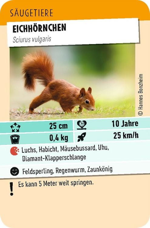 Produktbild: Tiere Toppen