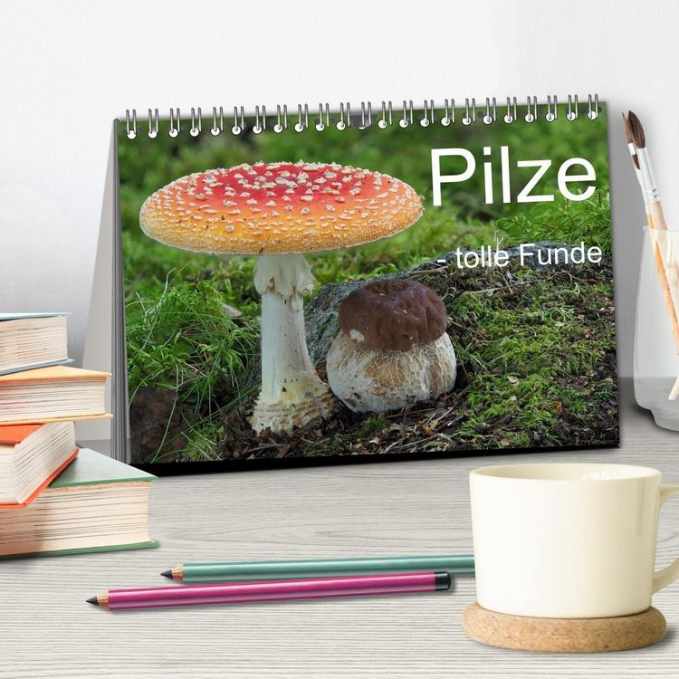 Produktbild: Pilze - tolle Funde (Tischkalender 2027 DIN A5 quer), CALVENDO Monatskalender