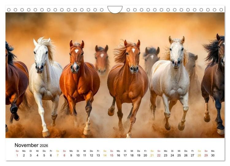 Produktbild: Westernwelt (Wandkalender 2026 DIN A4 quer), CALVENDO Monatskalender