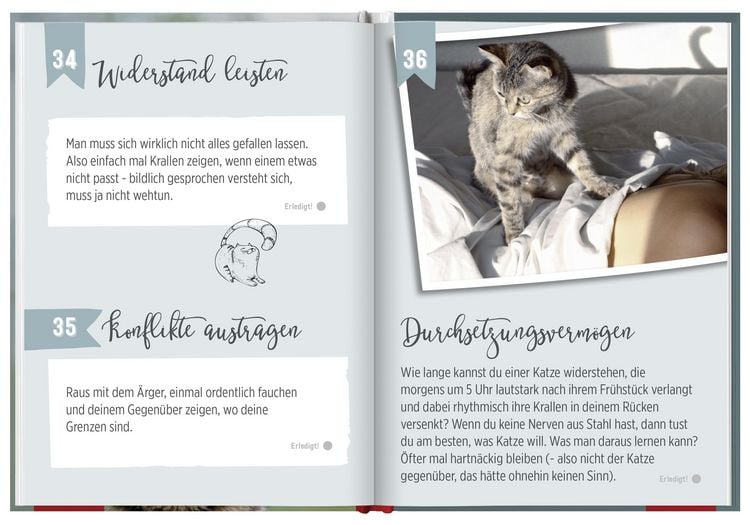 Produktbild: 100 Dinge, die man von einer Katze lernen kann