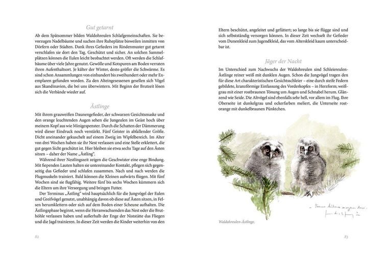 Produktbild: Gartenv&ouml;gel