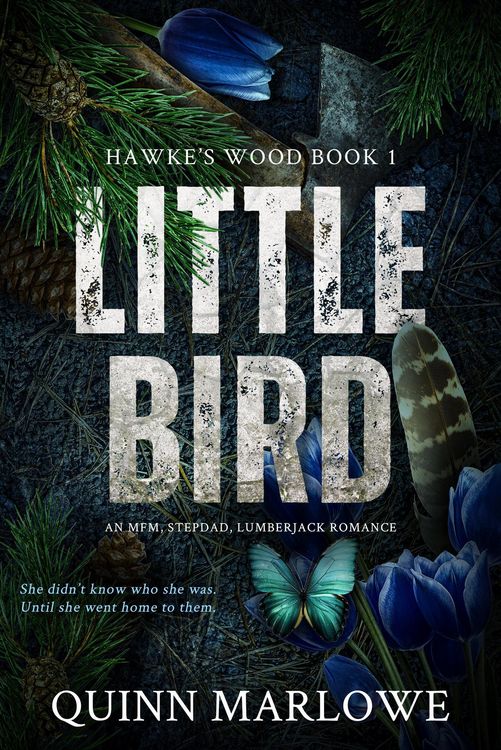 Produktbild: Little Bird: A Stepdad, Lumberjack, MFM Romance