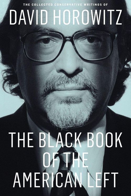 Produktbild: The Black Book of the American Left