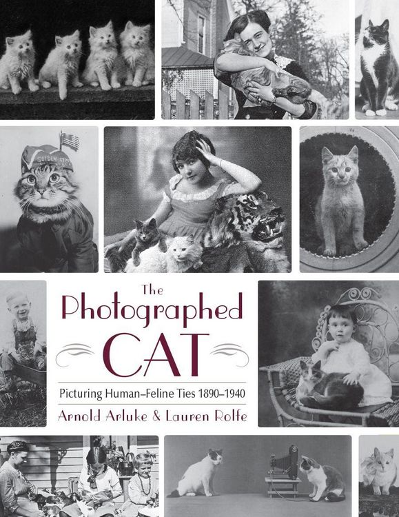 Produktbild: The Photographed Cat