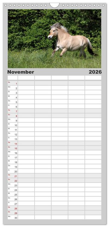 Produktbild: Familienplaner 2026 - Pferde - im Galopp durch's Jahr mit 5 Spalten (Wandkalender, 21 x 45 cm) CALVENDO