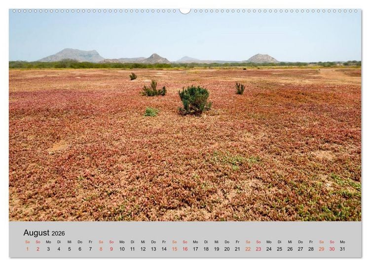 Produktbild: Boa Vista - Perle der Kapverden (Wandkalender 2026 DIN A2 quer), CALVENDO Monatskalender