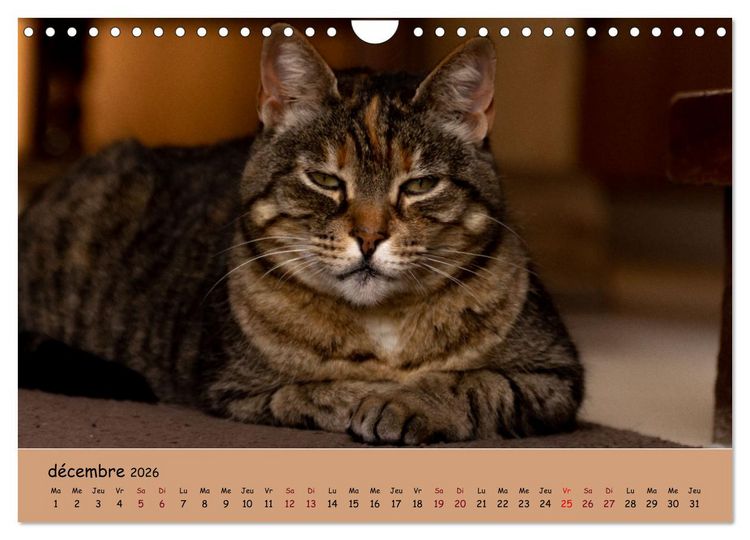 Produktbild: Les animaux de nos fermes (Calendrier mural 2026 DIN A4 vertical), CALVENDO calendrier mensuel