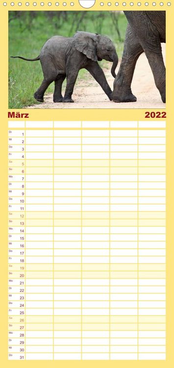 Produktbild: Familienplaner KR&Uuml;GER NATIONALPARK Afrikas Perle (Wandkalender 2022 , 21 cm x 45 cm, hoch)