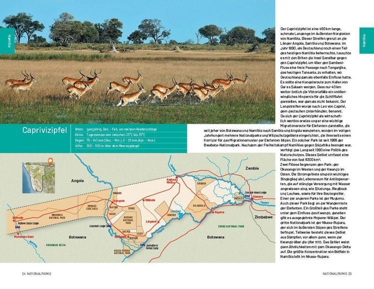 Produktbild: Safari-Reisef&uuml;hrer S&uuml;dliches Afrika