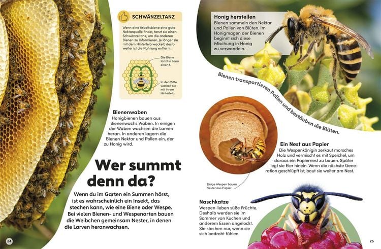 Produktbild: memo Wissen Kids. Insekten