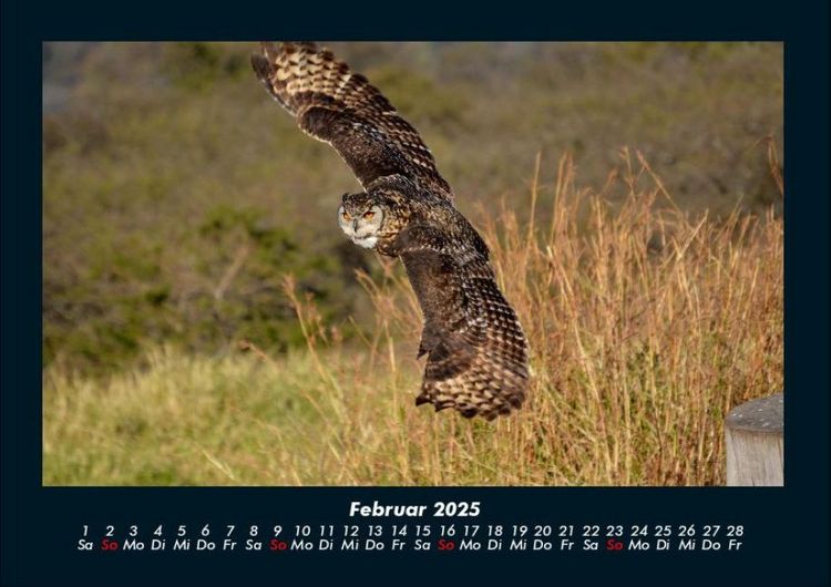 Produktbild: Vogelparadies 2025 Fotokalender DIN A4
