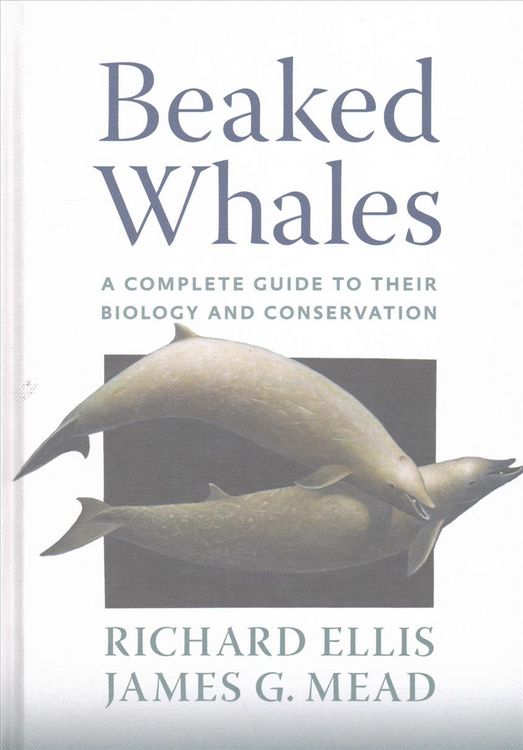 Produktbild: Beaked Whales