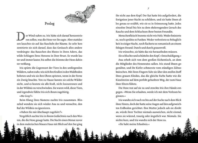 Produktbild: Wild is the Witch. Verfluchte N&auml;he