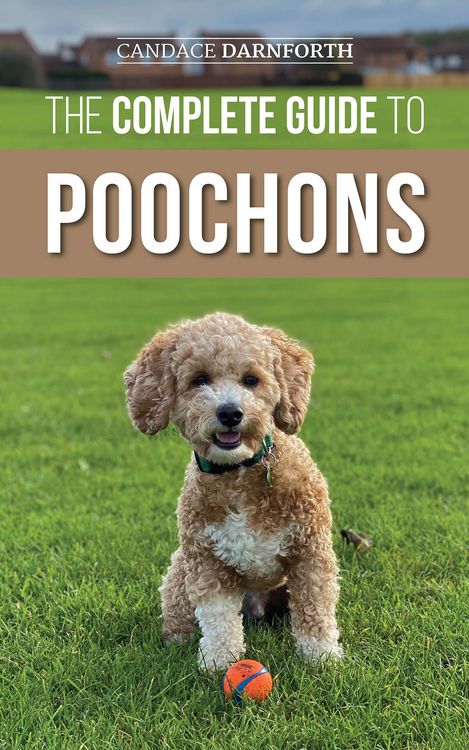 Produktbild: The Complete Guide to Poochons