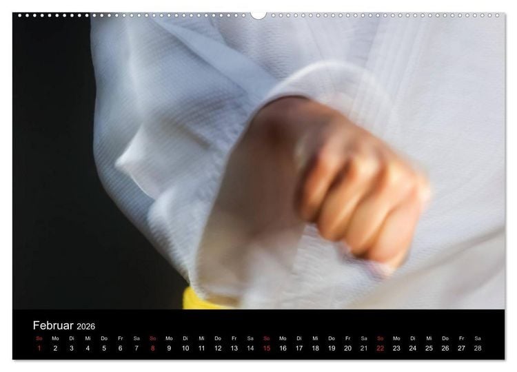 Produktbild: Kampfsport (Wandkalender 2026 DIN A2 quer), CALVENDO Monatskalender
