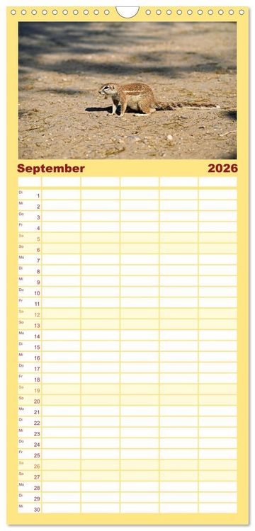 Produktbild: Familienplaner 2026 - Kgalagadi - Fauna und Wildtiere in der Kalahari mit 5 Spalten (Wandkalender, 21 x 45 cm) CALVENDO
