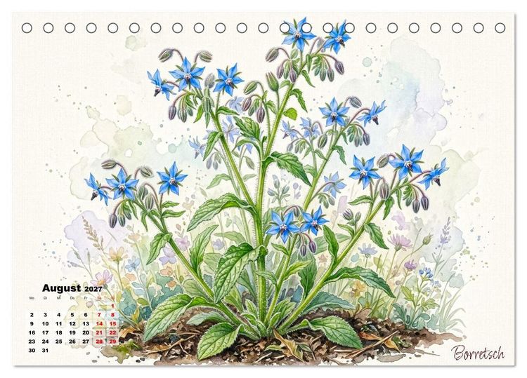 Produktbild: Wilde Kostbarkeiten &ndash; Essbar, gesund & wundersch&ouml;n (Tischkalender 2027 DIN A5 quer), CALVENDO Monatskalender