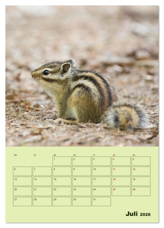Produktbild: H&ouml;rnchen aus aller Welt (Wandkalender 2026 DIN A3 hoch), CALVENDO Monatskalender