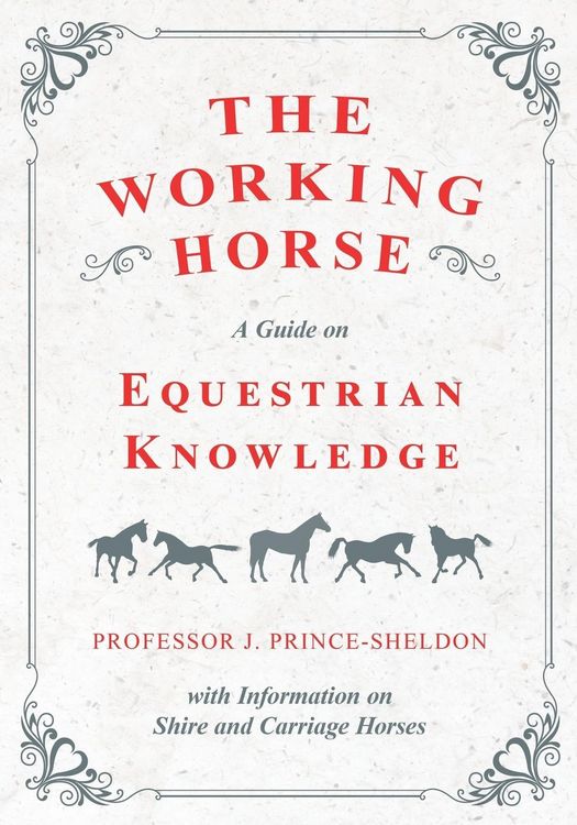 Produktbild: The Working Horse - A Guide on Equestrian Knowledge with Information on Shire and Carriage Horses