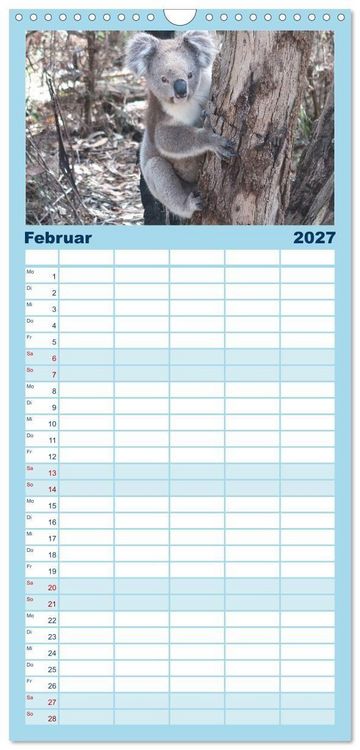 Produktbild: Familienplaner 2027 - 7 Kontinente - Weltweit durch das Jahr mit 5 Spalten (Wandkalender, 21 x 45 cm) CALVENDO