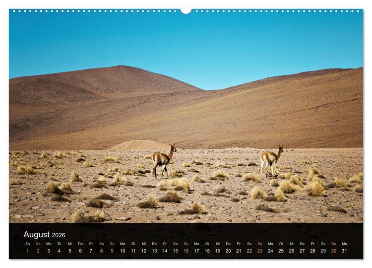 Produktbild: Atacama: Die W&uuml;ste im Norden Chiles (hochwertiger Premium Wandkalender 2026 DIN A2 quer), Kunstdruck in Hochglanz