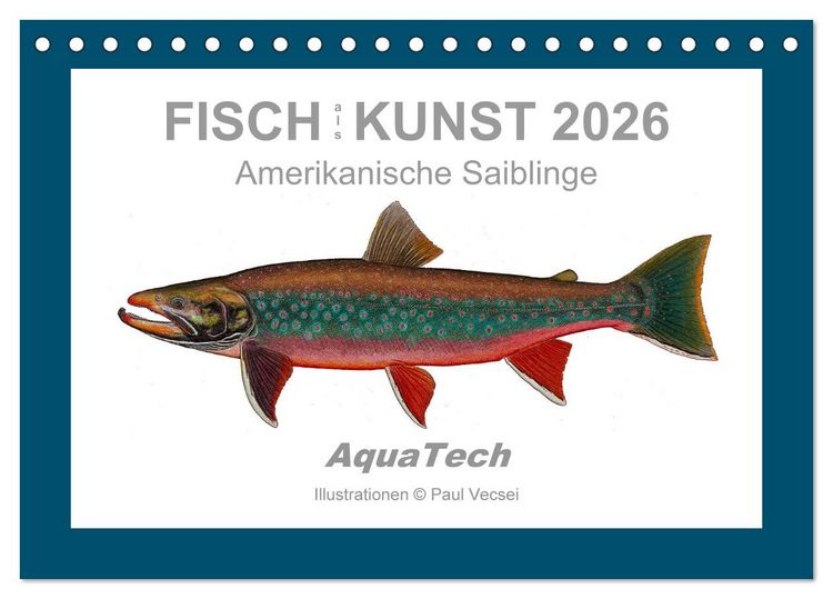 Produktbild: Fisch als Kunst 2026: Amerikanische Saiblinge (Tischkalender 2026 DIN A5 quer), CALVENDO Monatskalender