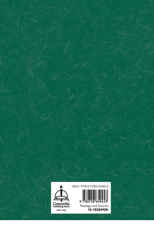 Produktbild: The Abiding Word, Volume 2
