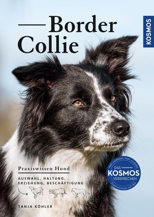 Produktbild: Border Collie
