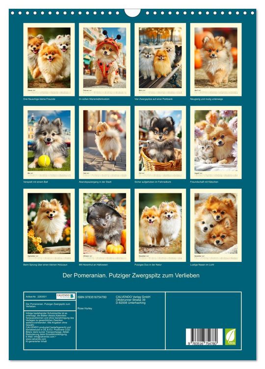 Produktbild: Der Pomeranian. Putziger Zwergspitz zum Verlieben (Wandkalender 2027 DIN A3 hoch), CALVENDO Monatskalender