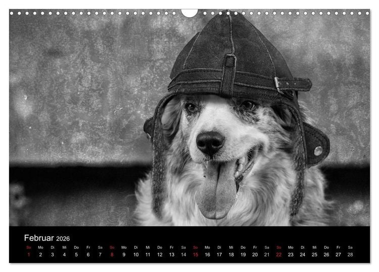 Produktbild: H&uuml;tehunde (Wandkalender 2026 DIN A3 quer), CALVENDO Monatskalender