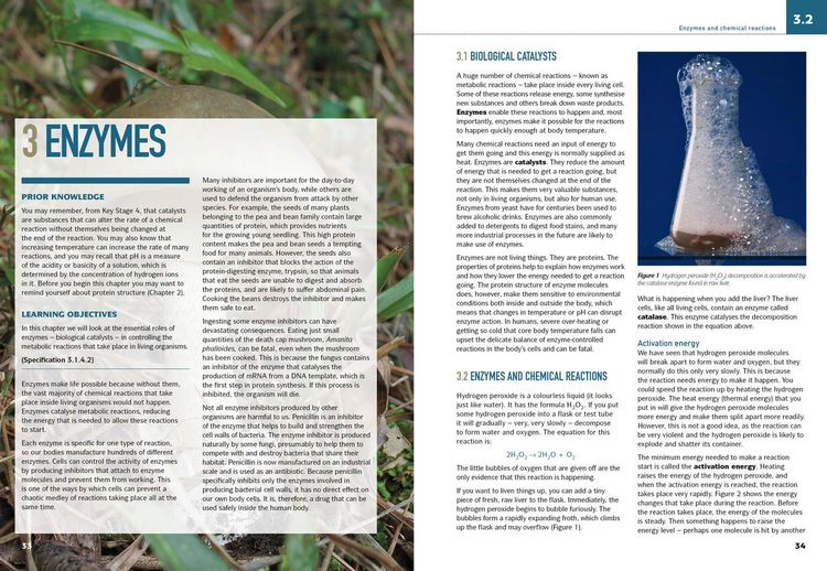 Produktbild: AQA A LEVEL BIOLOGY SB1