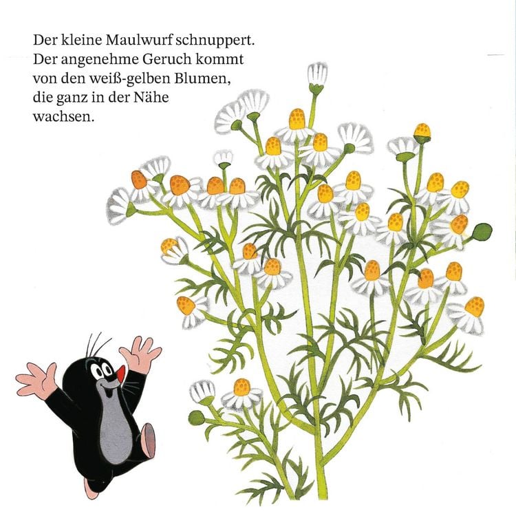 Produktbild: Maxi Pixi 468: Ein Tag mit dem kleinen Maulwurf