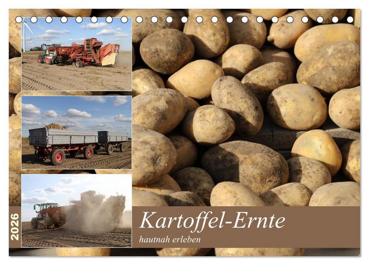 Produktbild: Kartoffel-Ernte - hautnah erleben (Tischkalender 2026 DIN A5 quer), CALVENDO Monatskalender