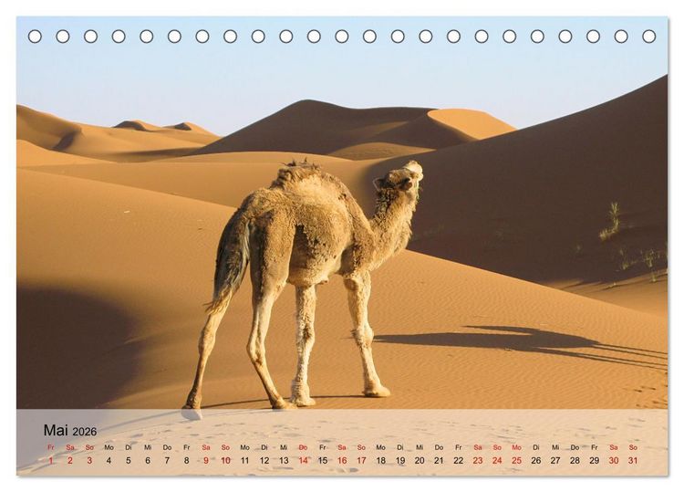 Produktbild: Magische Farbspiele der W&uuml;ste (Tischkalender 2026 DIN A5 quer), CALVENDO Monatskalender