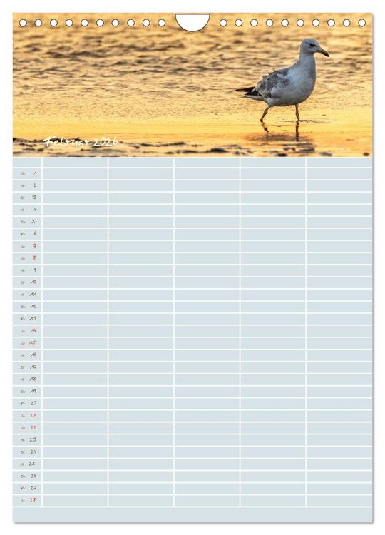Produktbild: Kleine Sand-Sch&ouml;nheiten / Familienplaner (Wandkalender 2026 DIN A4 hoch), CALVENDO Monatskalender