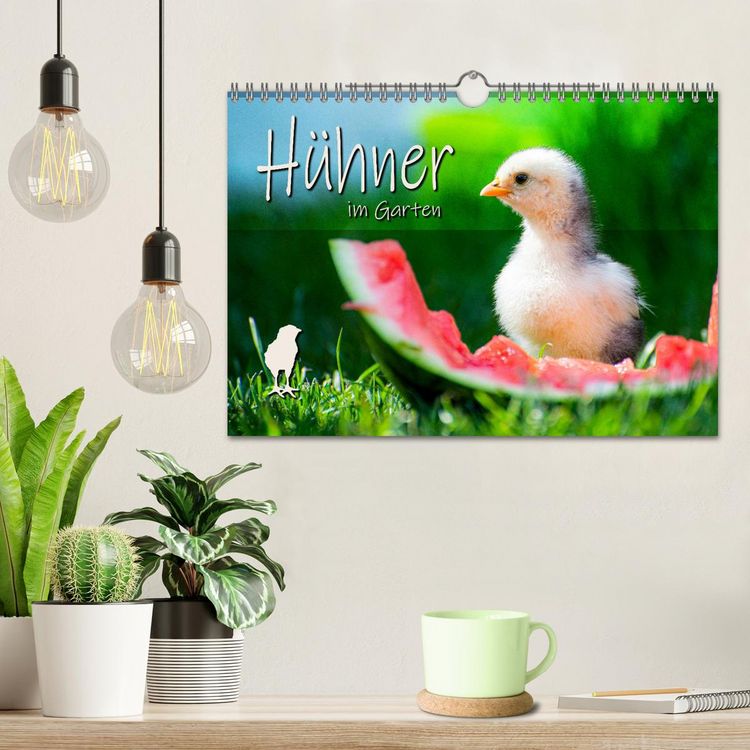 Produktbild: H&uuml;hner im Garten (Wandkalender 2026 DIN A4 quer), CALVENDO Monatskalender