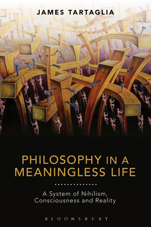 Produktbild: Philosophy in a Meaningless Life