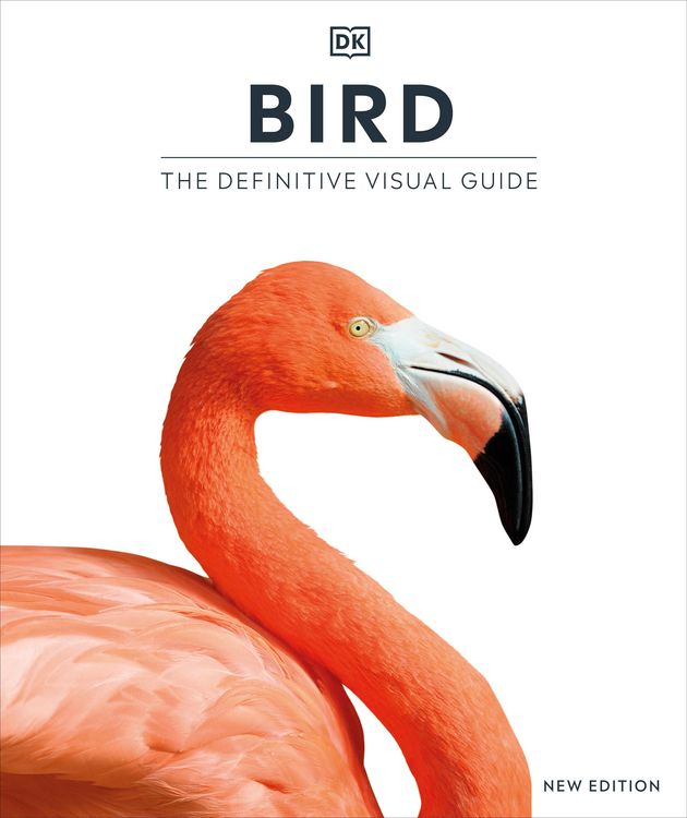 Produktbild: Bird