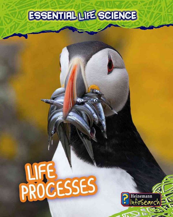 Produktbild: Life Processes
