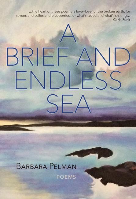 Produktbild: A Brief and Endless Sea