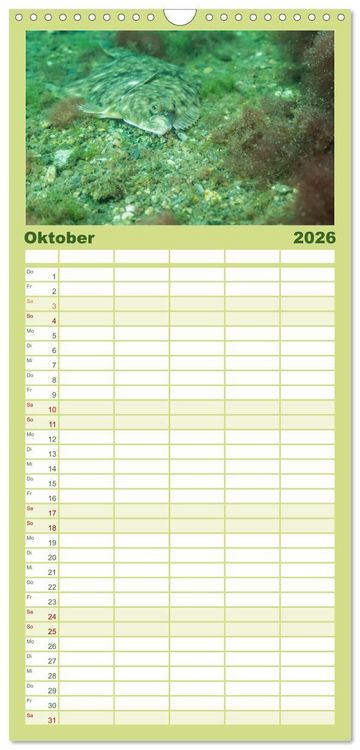 Produktbild: Familienplaner 2026 - Unter Wasser rund um Fehmarn mit 5 Spalten (Wandkalender, 21 x 45 cm) CALVENDO