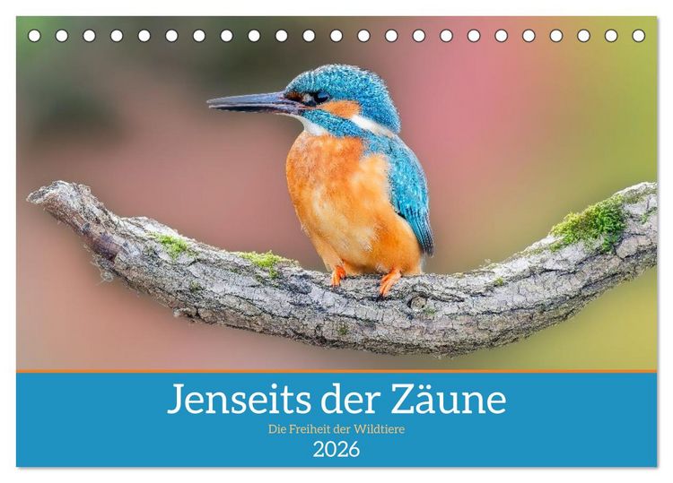 Produktbild: Jenseits der Z&auml;une (Tischkalender 2026 DIN A5 quer), CALVENDO Monatskalender