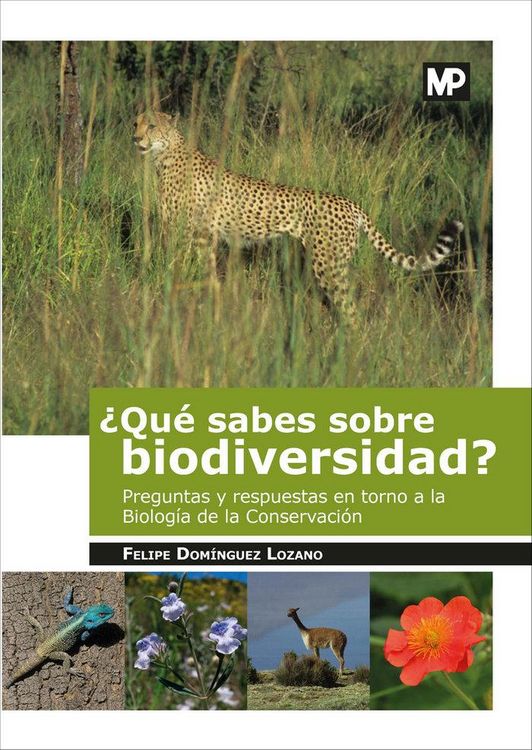 Produktbild: &iquest;Qu&eacute; sabes sobre biodiversidad?