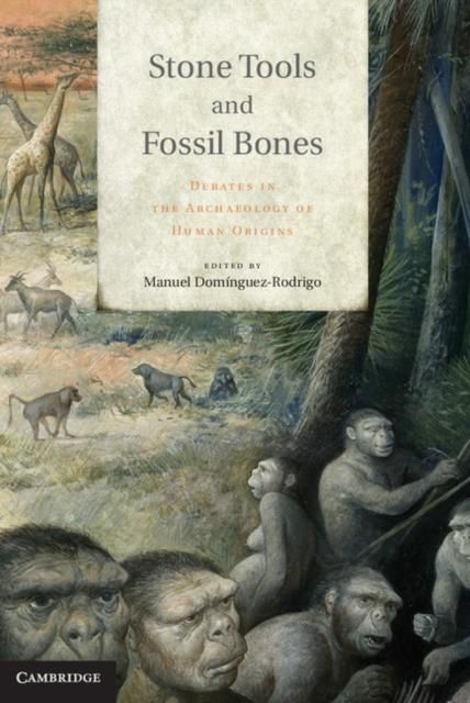 Produktbild: Stone Tools and Fossil Bones