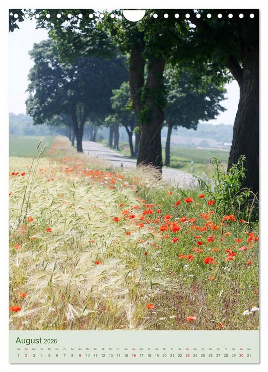 Produktbild: Mohn im Feld (Wandkalender 2026 DIN A4 hoch), CALVENDO Monatskalender